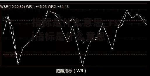 指标是什么意思_rsi指标是什么意思