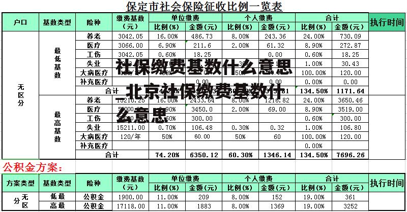 社保缴费基数什么意思_北京社保缴费基数什么意思