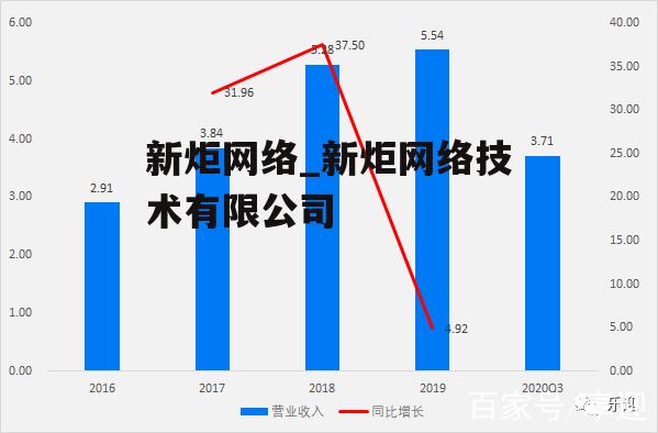 新炬网络_新炬网络技术有限公司