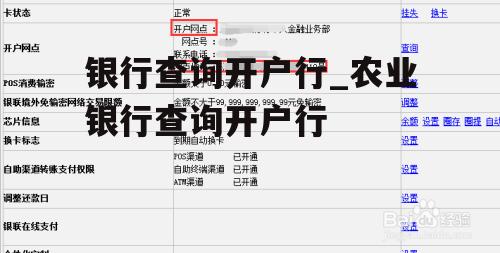 银行查询开户行_农业银行查询开户行