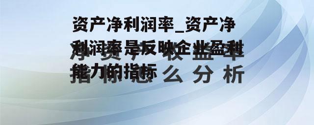 资产净利润率_资产净利润率是反映企业盈利能力的指标