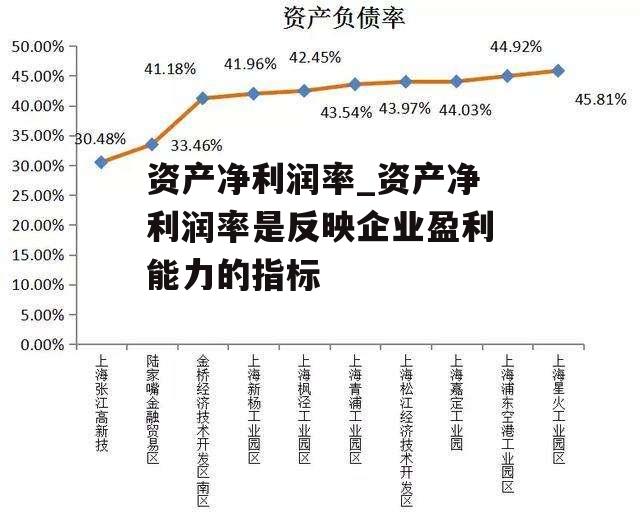 资产净利润率_资产净利润率是反映企业盈利能力的指标