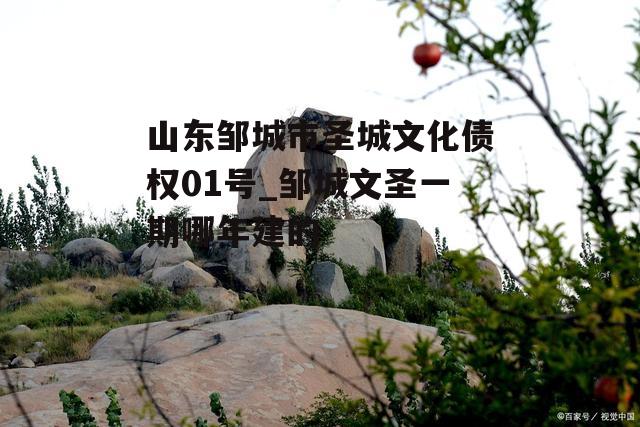 山东邹城市圣城文化债权01号_邹城文圣一期哪年建的