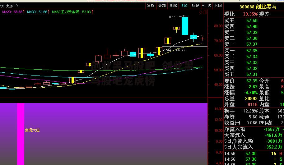 创业黑马股吧_创业黑马股吧龙虎榜