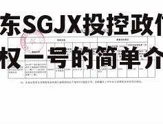 山东SGJX投控政信债权一号的简单介绍