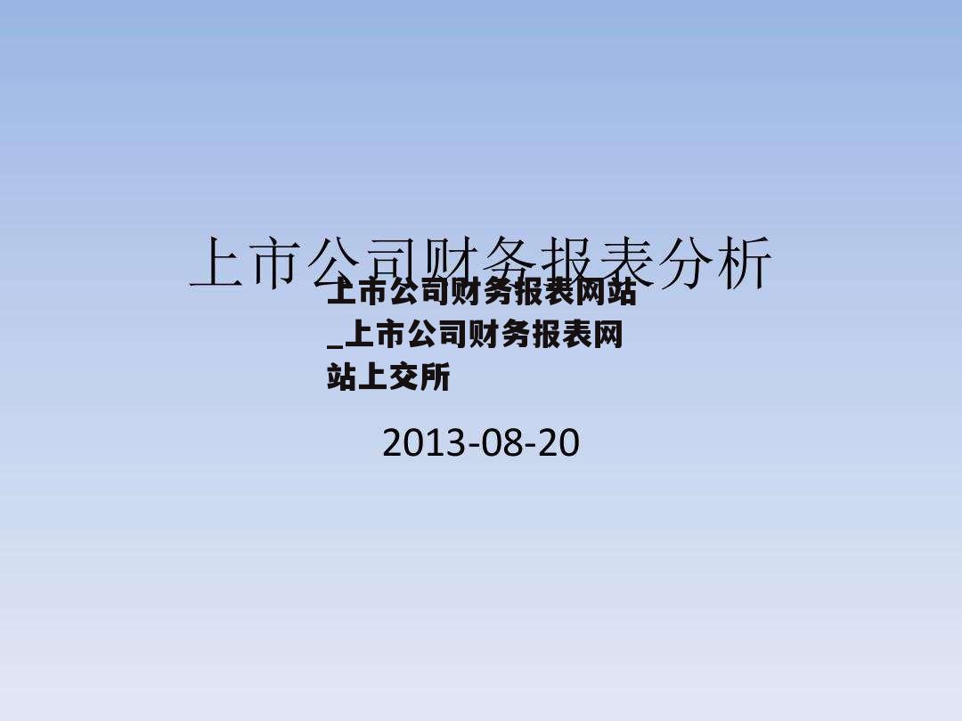 上市公司财务报表网站_上市公司财务报表网站上交所