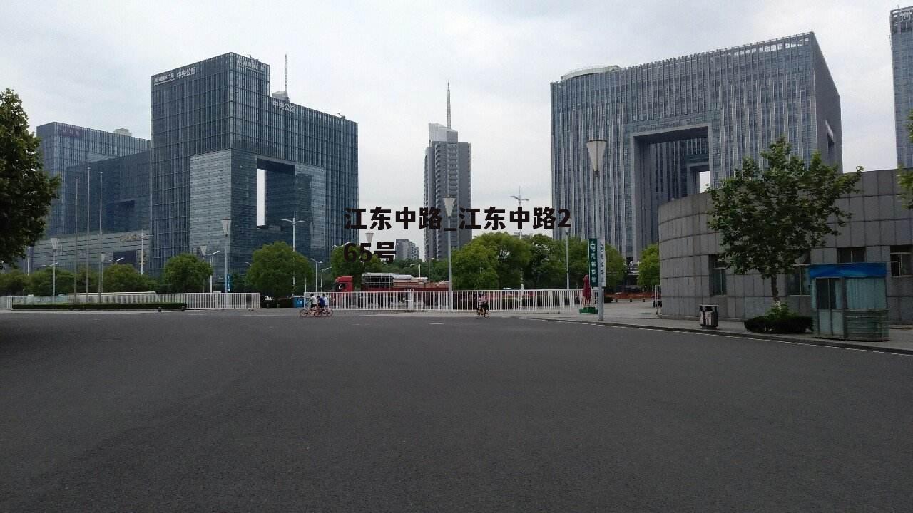 江东中路_江东中路265号