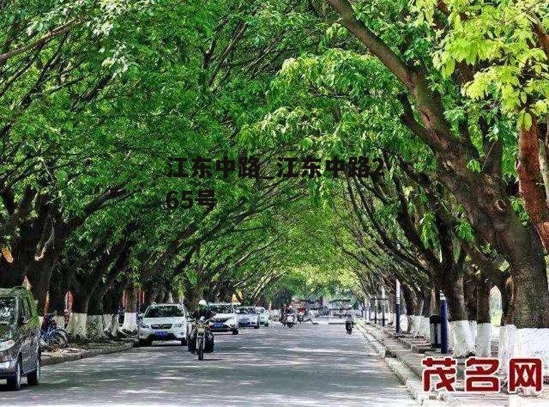 江东中路_江东中路265号