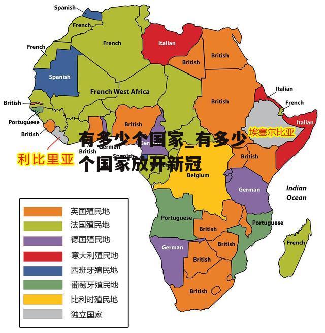 有多少个国家_有多少个国家放开新冠