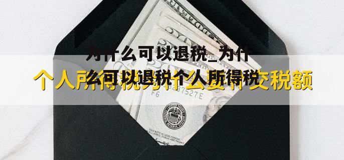 为什么可以退税_为什么可以退税个人所得税