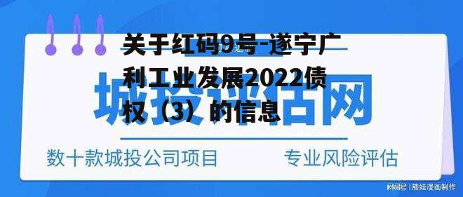 关于红码9号-遂宁广利工业发展2022债权（3）的信息