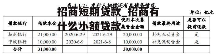 招商短期贷款_招商有什么小额贷款