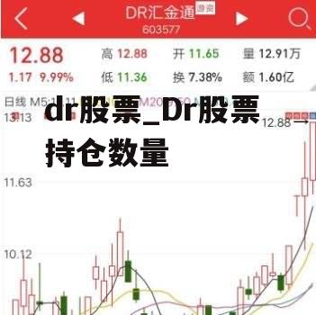 dr股票_Dr股票 持仓数量