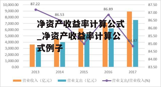 净资产收益率计算公式_净资产收益率计算公式例子