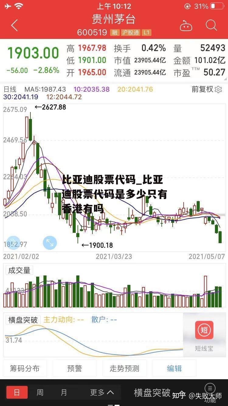 比亚迪股票代码_比亚迪股票代码是多少只有香港有吗