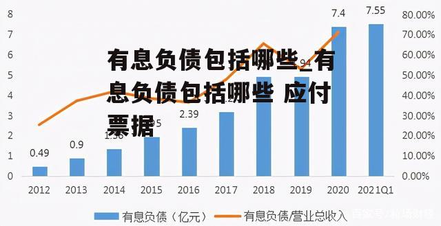 有息负债包括哪些_有息负债包括哪些 应付票据