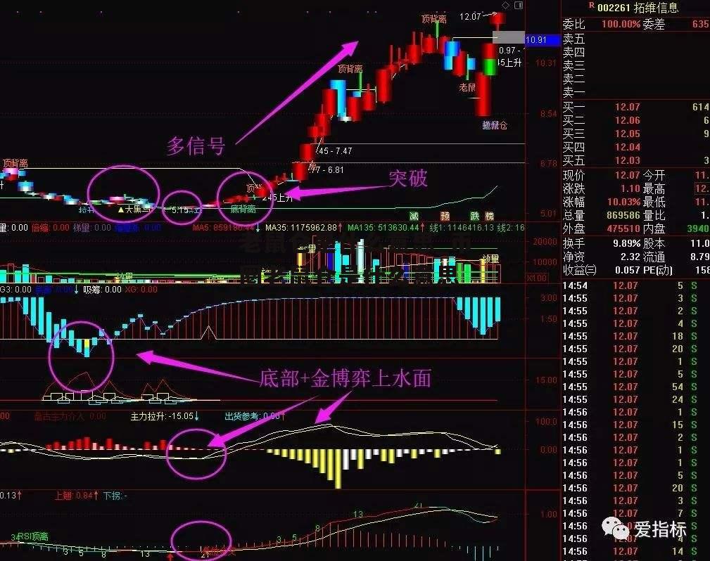 老鼠仓是什么意思_币圈老鼠仓是什么意思