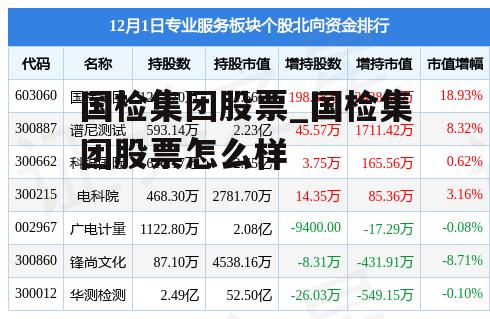 国检集团股票_国检集团股票怎么样