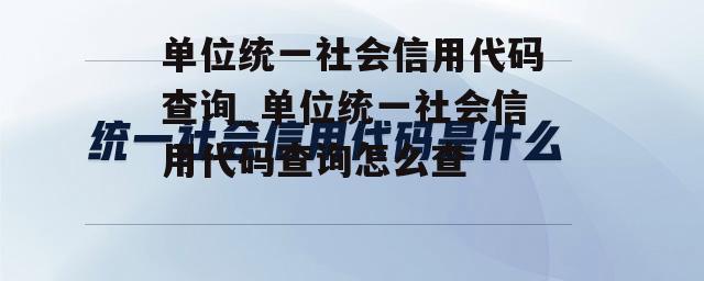 单位统一社会信用代码查询_单位统一社会信用代码查询怎么查