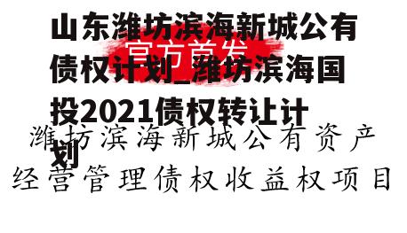 山东潍坊滨海新城公有债权计划_潍坊滨海国投2021债权转让计划