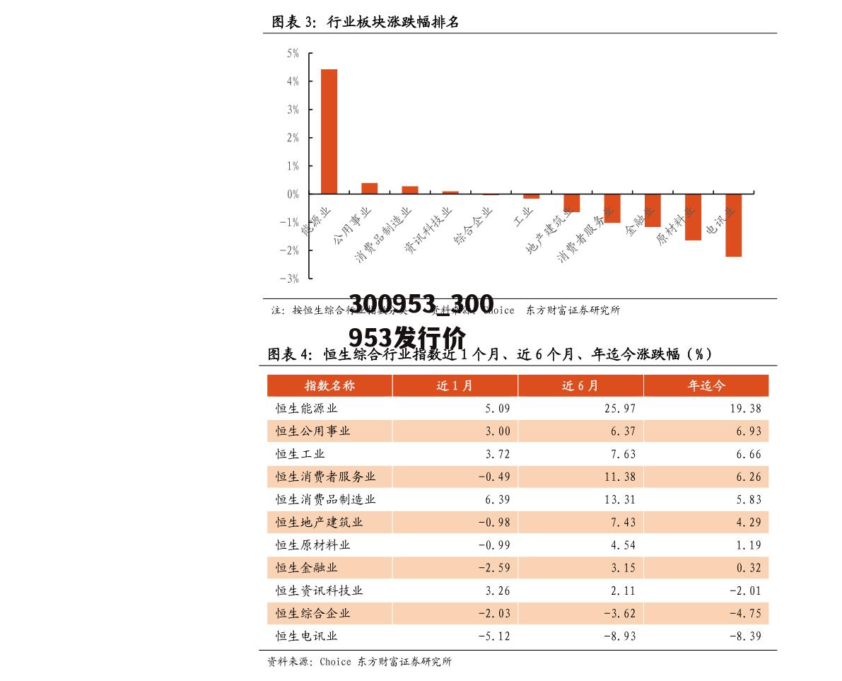 300953_300953发行价