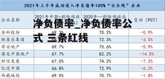 净负债率_净负债率公式 三条红线