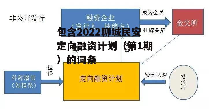 包含2022聊城民安定向融资计划（第1期）的词条