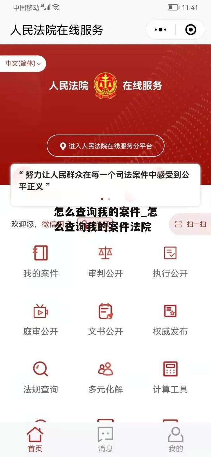 怎么查询我的案件_怎么查询我的案件法院