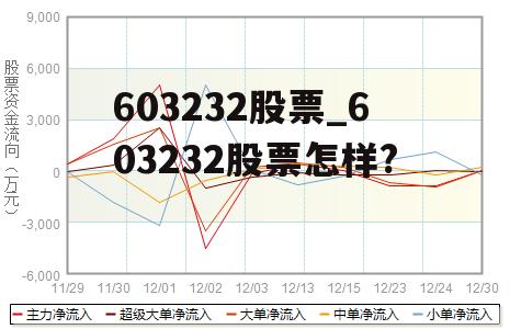 603232股票_603232股票怎样?