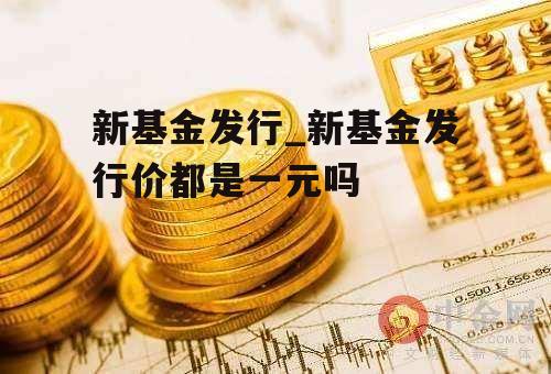 新基金发行_新基金发行价都是一元吗