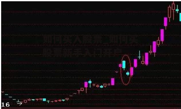 如何买入股票_如何买股票新手入门开户