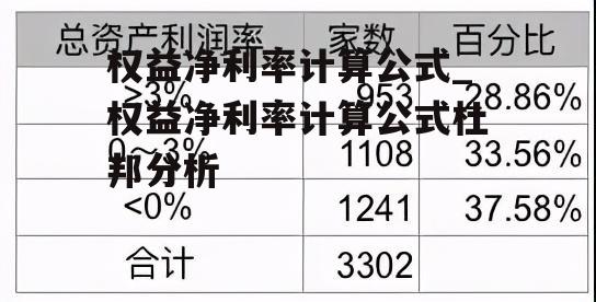 权益净利率计算公式_权益净利率计算公式杜邦分析