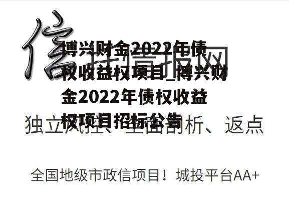 博兴财金2022年债权收益权项目_博兴财金2022年债权收益权项目招标公告