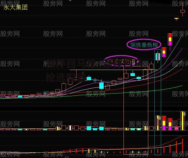 涨停回马枪_涨停回马枪选股器