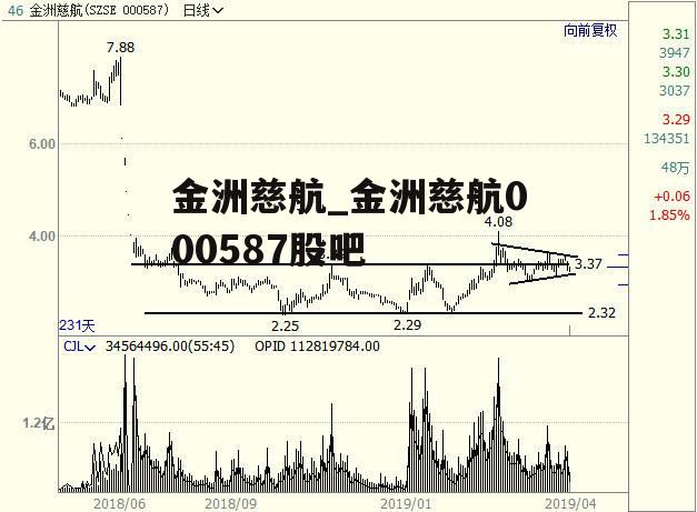 金洲慈航_金洲慈航000587股吧