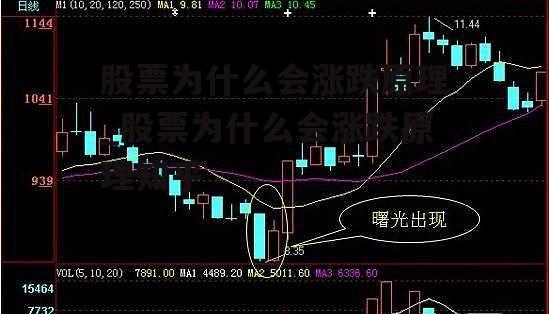 股票为什么会涨跌原理_股票为什么会涨跌原理知乎