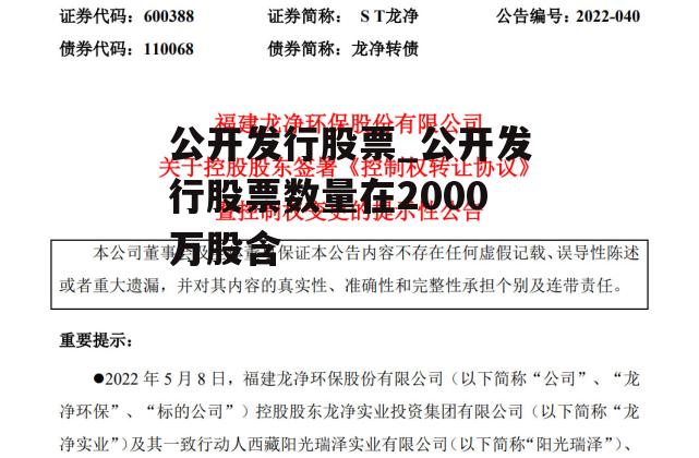 公开发行股票_公开发行股票数量在2000万股含