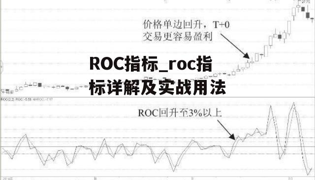 ROC指标_roc指标详解及实战用法