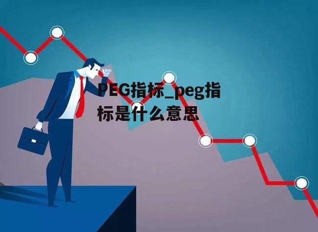 PEG指标_peg指标是什么意思