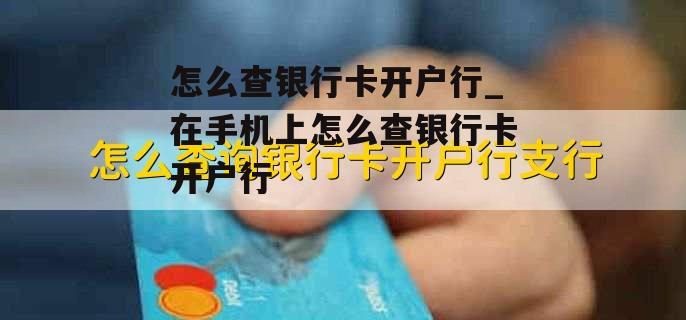 怎么查银行卡开户行_在手机上怎么查银行卡开户行