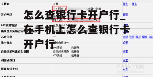 怎么查银行卡开户行_在手机上怎么查银行卡开户行