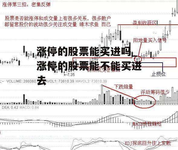 涨停的股票能买进吗_涨停的股票能不能买进去