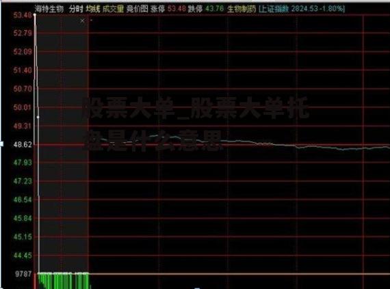 股票大单_股票大单托盘是什么意思