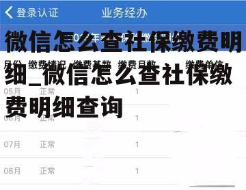 微信怎么查社保缴费明细_微信怎么查社保缴费明细查询