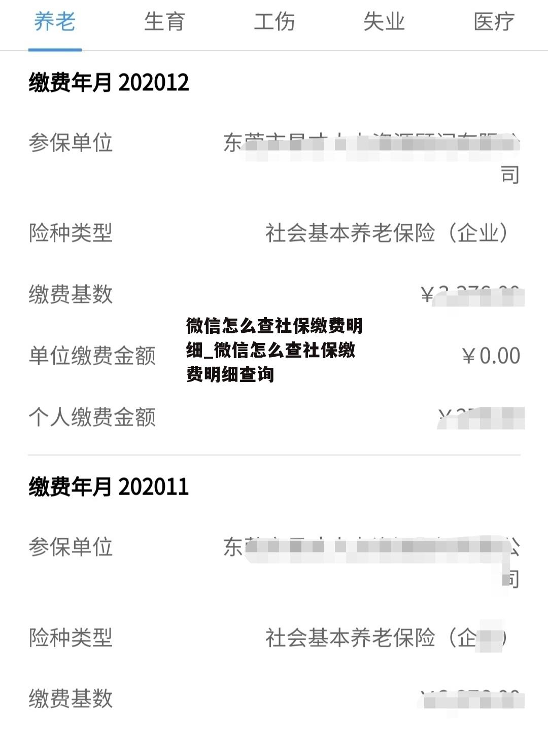 微信怎么查社保缴费明细_微信怎么查社保缴费明细查询