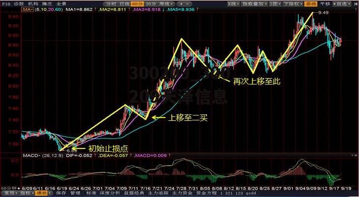 300209_300209天泽信息