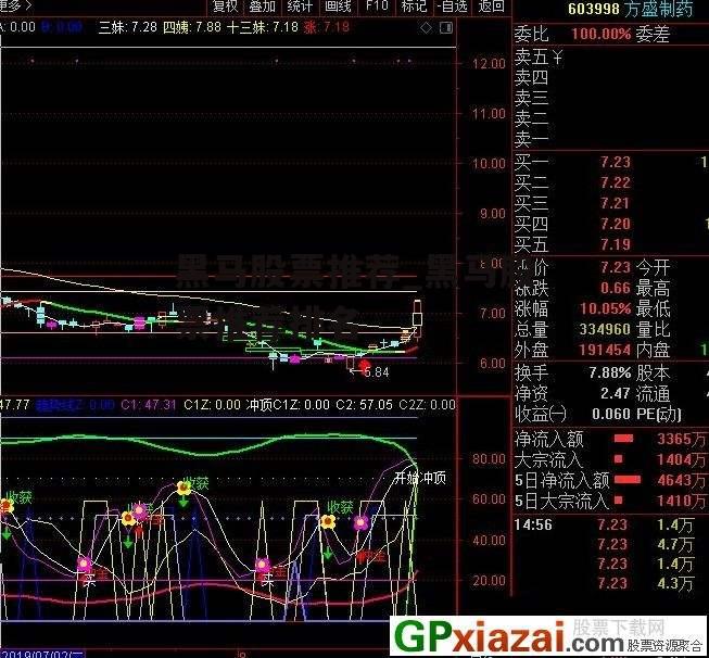 黑马股票推荐_黑马股票推荐排名