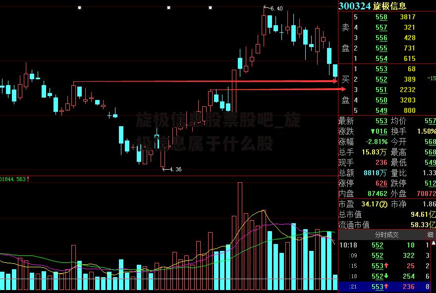 旋极信息股票股吧_旋极信息属于什么股