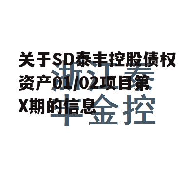 关于SD泰丰控股债权资产01/02项目第X期的信息