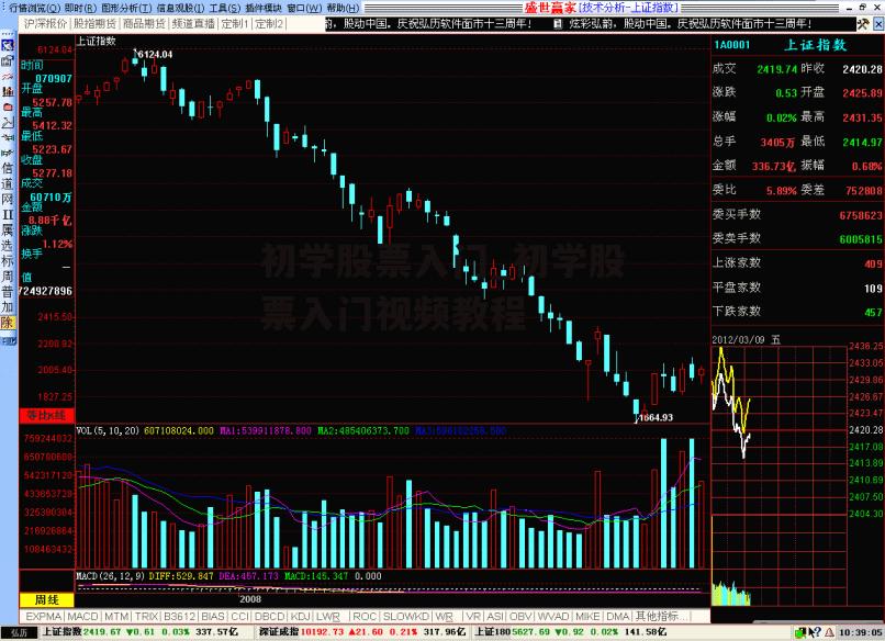 初学股票入门_初学股票入门视频教程